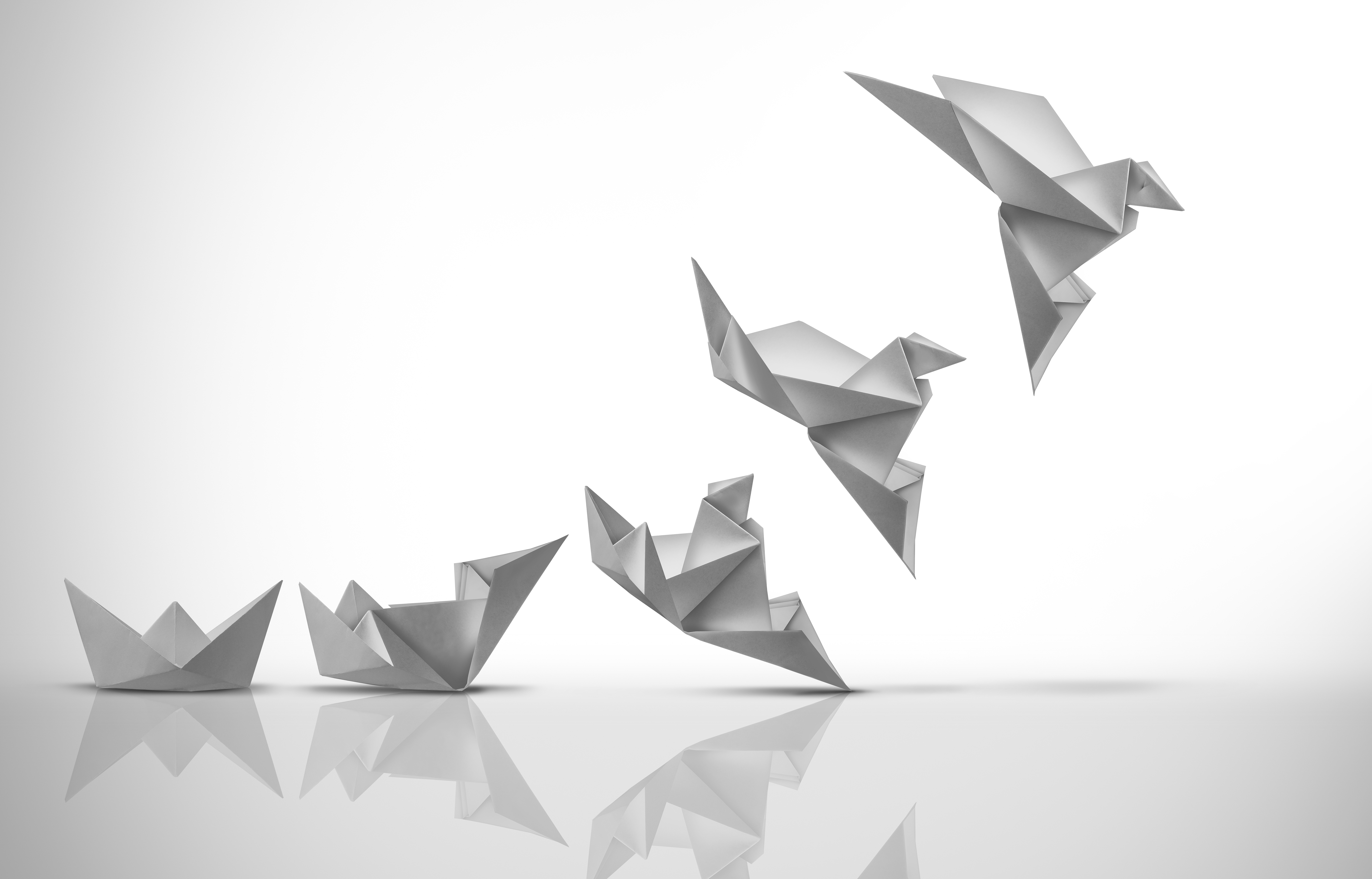 Origami boats transforming into birds in flight, symbolising the journey from evidence to adaptation to delivery